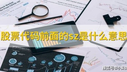 股票代码前的sz啥意思?深圳证券交易所咋买基金?一文讲清