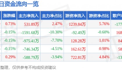 股票行情快报：泰山石油（000554）7月14日主力资金净买入531.89万元