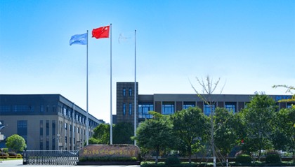 中晶科技2025年上半年表现如何?