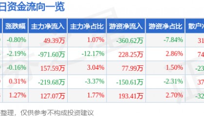 股票行情快报：泰山石油（000554）5月23日主力资金净买入49.39万元