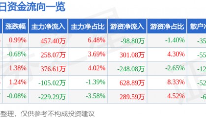 股票行情快报：安洁科技（002635）6月9日主力资金净买入457.40万元