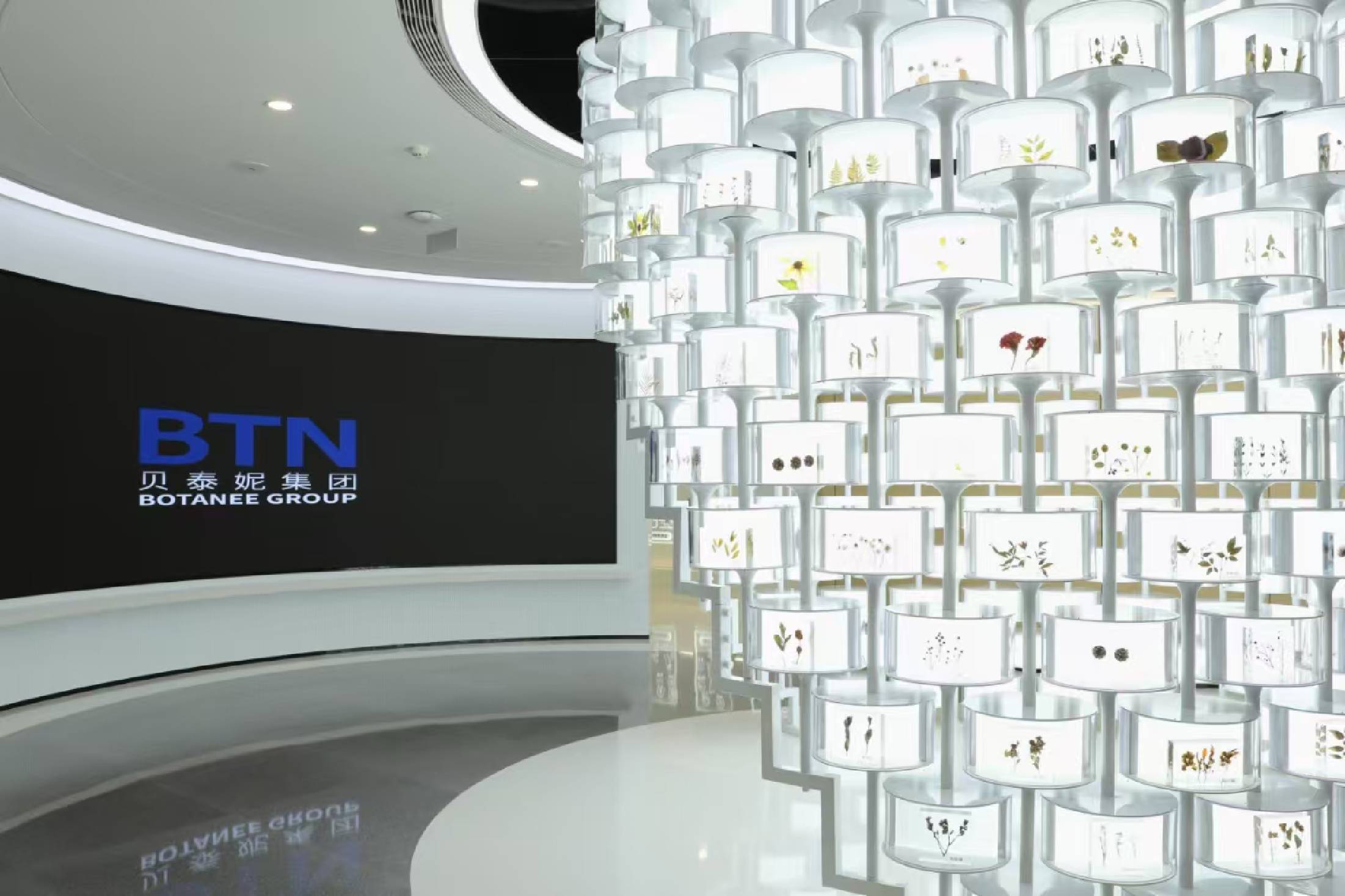 贝泰妮增长逻辑转化：如何打赢持久战？